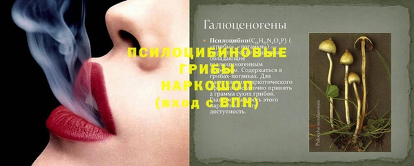 PSILOCYBIN Абинск