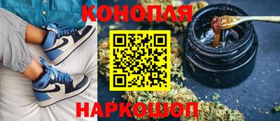прущие крисы Пугачёв