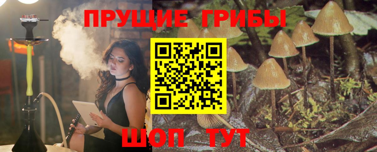 Псилоцибиновые грибы мицелий  Галлюциногенные грибы MAGIC MUSHROOMS  Вход с VPN  Чебоксары 